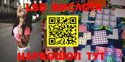 стаф Бийск