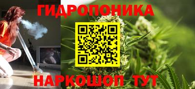 индика Беслан