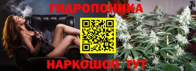 индика Беслан