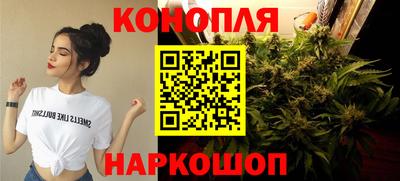 стаф Бийск