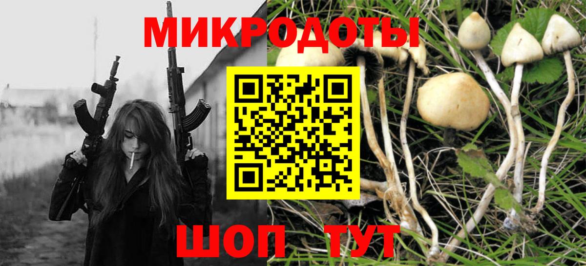 купить закладку  Вход с VPN  Кандалакша  Галлюциногенные грибы Psilocybe 