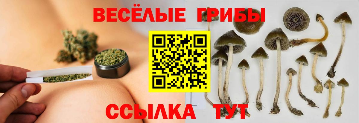 Псилоцибиновые грибы ЛСД Кандалакша